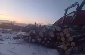 Investește în Viitorul Industriei Lemnului Investește în Viitorul Industriei Lemnului