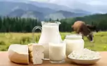 Fabrică de Lactate Afacere la Cheie Fabrică de Lactate Afacere la Cheie