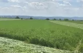 Asociere sau vanzare ferma mixta agricola Asociere sau vanzare ferma mixta agricola