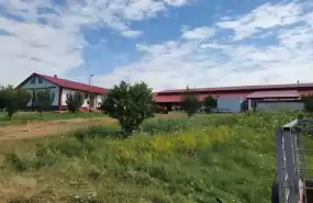 Fermă zootehnică utilată, 1000 m² construiti Fermă zootehnică utilată, 1000 m² construiti