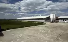 Ferma zootehnica de porci NOUA Full dotata Ferma zootehnica de porci NOUA Full dotata