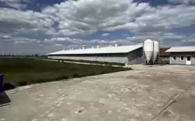Ferma zootehnica de porci NOUA Full dotata Ferma zootehnica de porci NOUA Full dotata