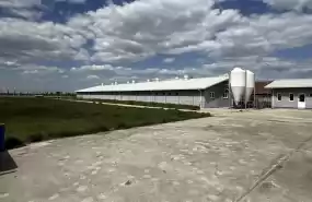Ferma zootehnica de porci NOUA Full dotata Ferma zootehnica de porci NOUA Full dotata