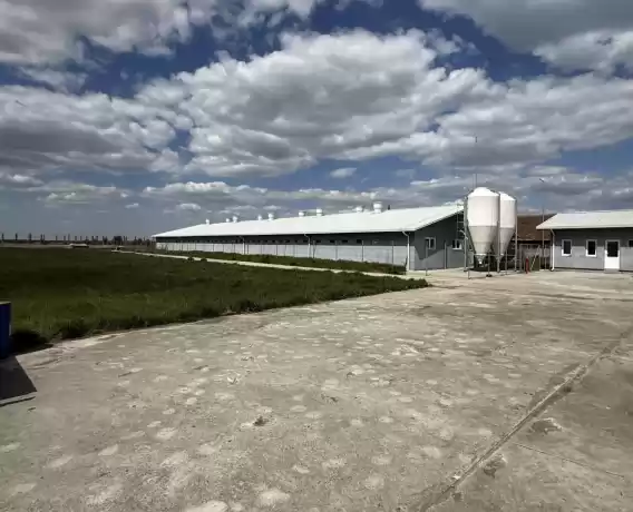 Ferma zootehnica de porci NOUA Full dotata - 548.000 EUR Ferma zootehnica de porci NOUA Full dotata