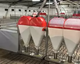 Ferma zootehnica de porci NOUA Full dotata - 548.000 EUR Ferma zootehnica de porci NOUA Full dotata