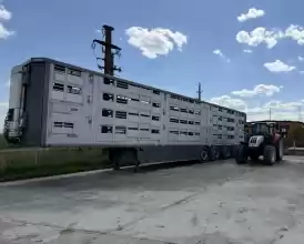 Ferma zootehnica de porci NOUA Full dotata - 548.000 EUR Ferma zootehnica de porci NOUA Full dotata
