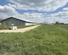 Ferma zootehnica de porci NOUA Full dotata - 548.000 EUR Ferma zootehnica de porci NOUA Full dotata