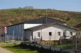 Plantație de cătină certificată ecologic 29.42 ha Plantație de cătină certificată ecologic 29.42 ha