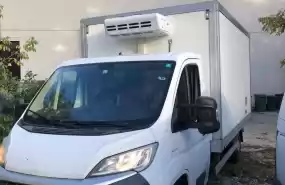 Oferta afacere transport frigorific Oferta afacere transport frigorific