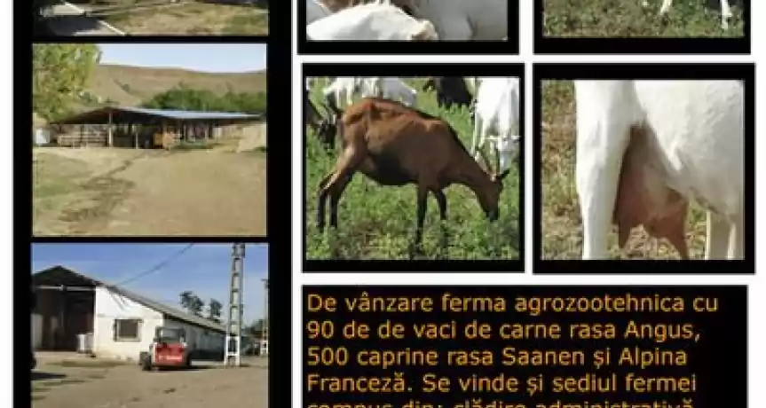 De vânzare Ferma Agro Zootehnica 